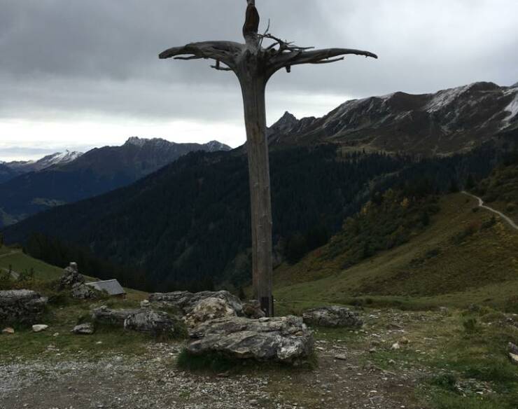 Nachrufe