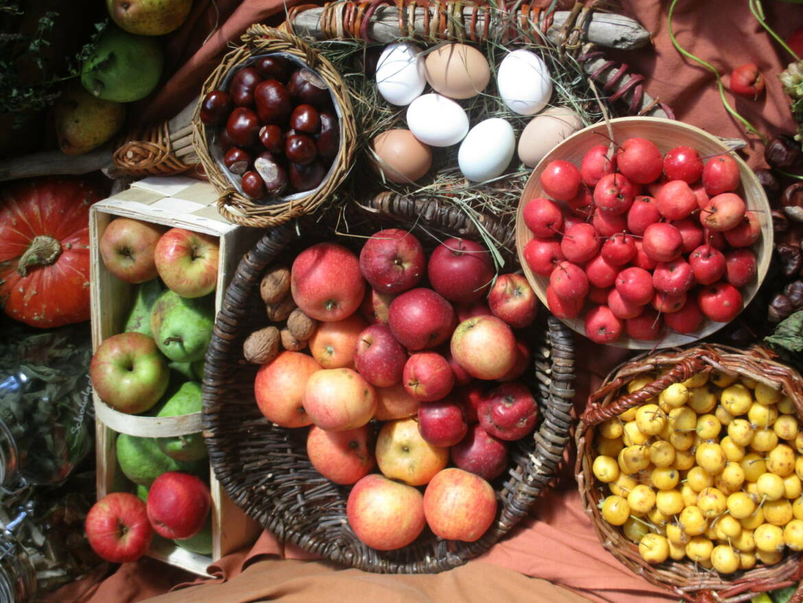 Bild-Wochenmarkt-scaled.jpg