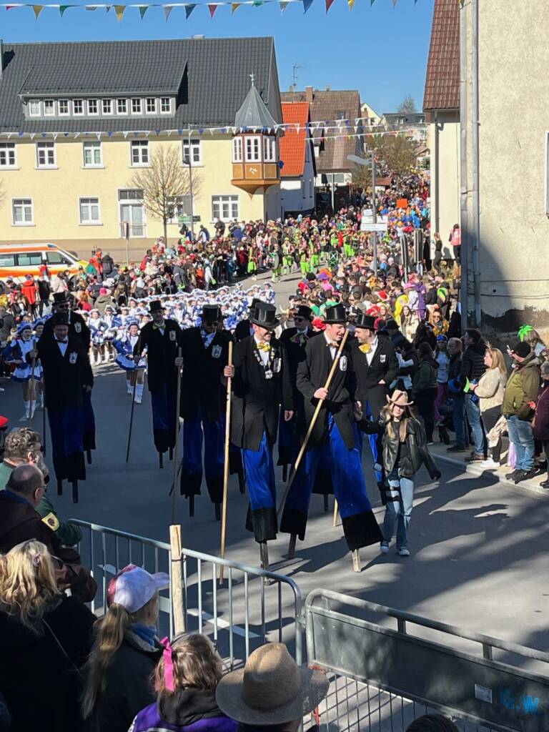 Eindrücke vom Rosenmontagsumzug der Gemeinde Westerheim/Alb